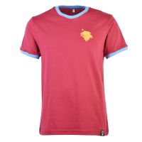 Image of Dziecięca koszulka T-shirt Aston Villa FC - bordowy/niebieska